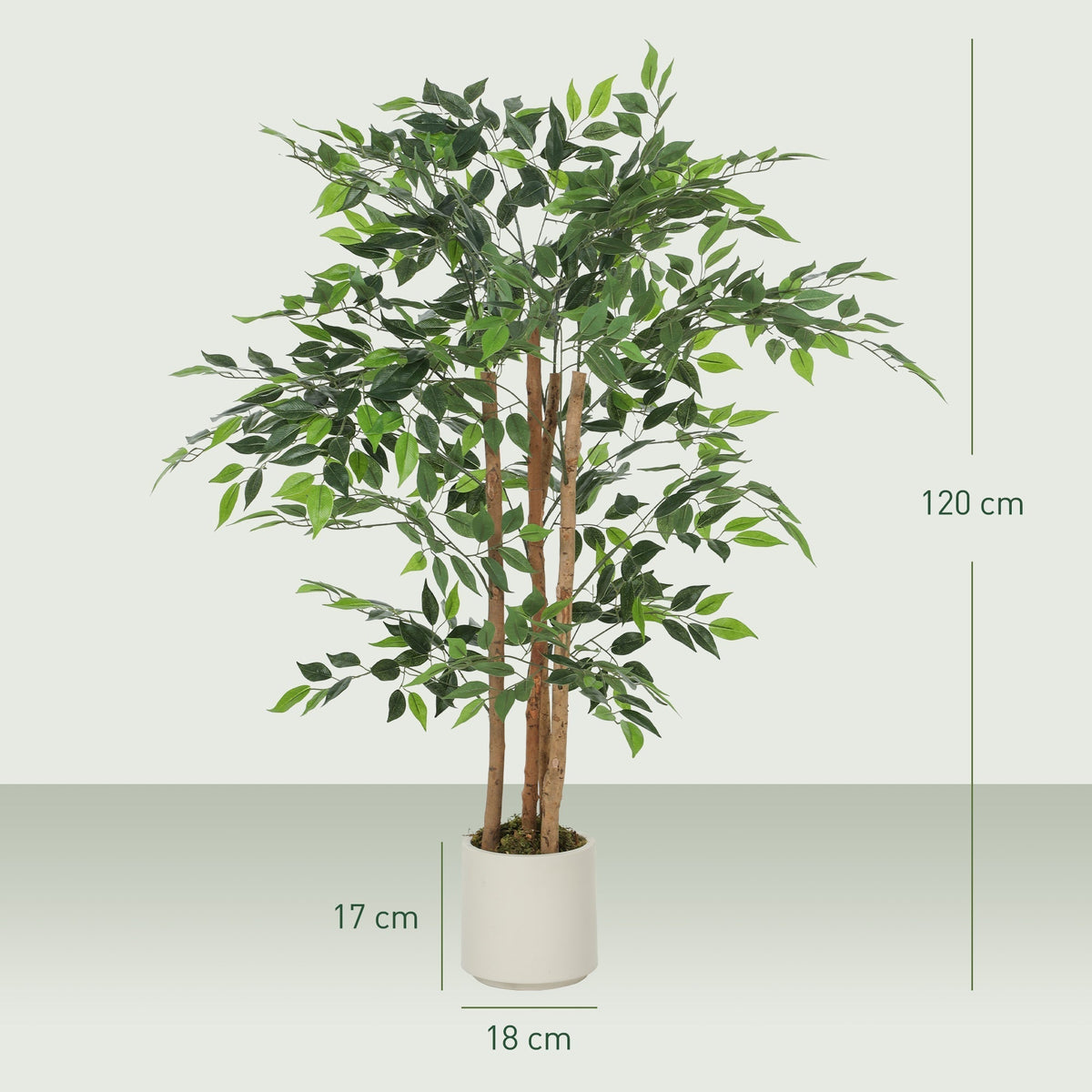 The artificial ficus tree with dimensions shown