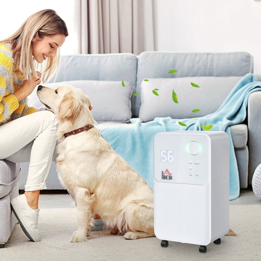 The electric moisture air de-humidifier in use in a living room with a woman and a dog