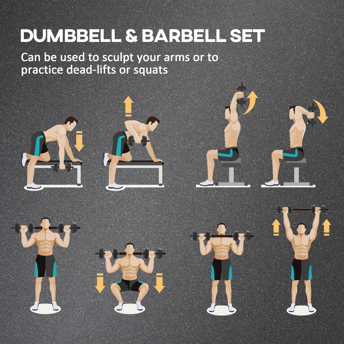 Illustrations of exercises that can be done with the dumbbell and barbell set