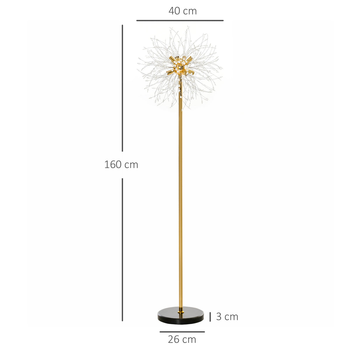 The floor lamp showing height and width dimensions on a white background