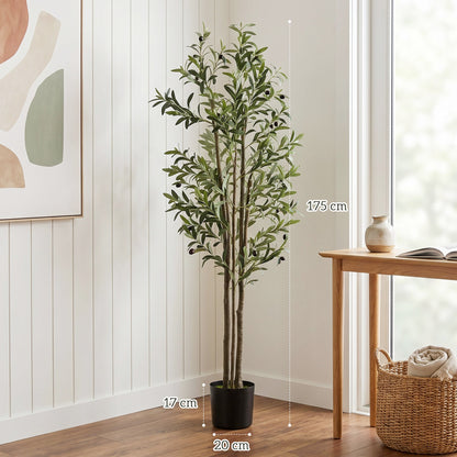 The artificial plant shown with height and width dimensions marked on a white wall