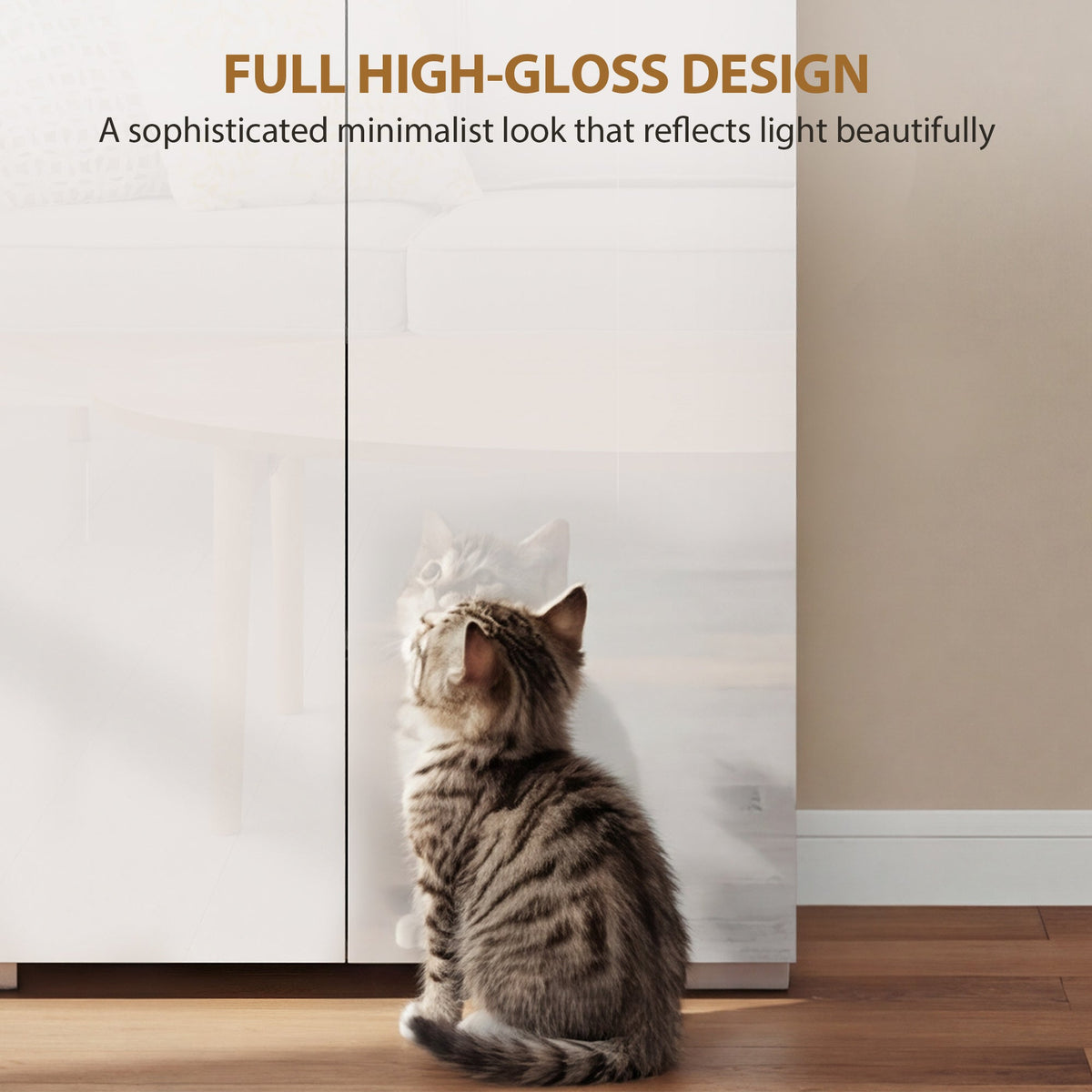 A curious cat sits in front of the full high-gloss design of the kitchen storage cabinet