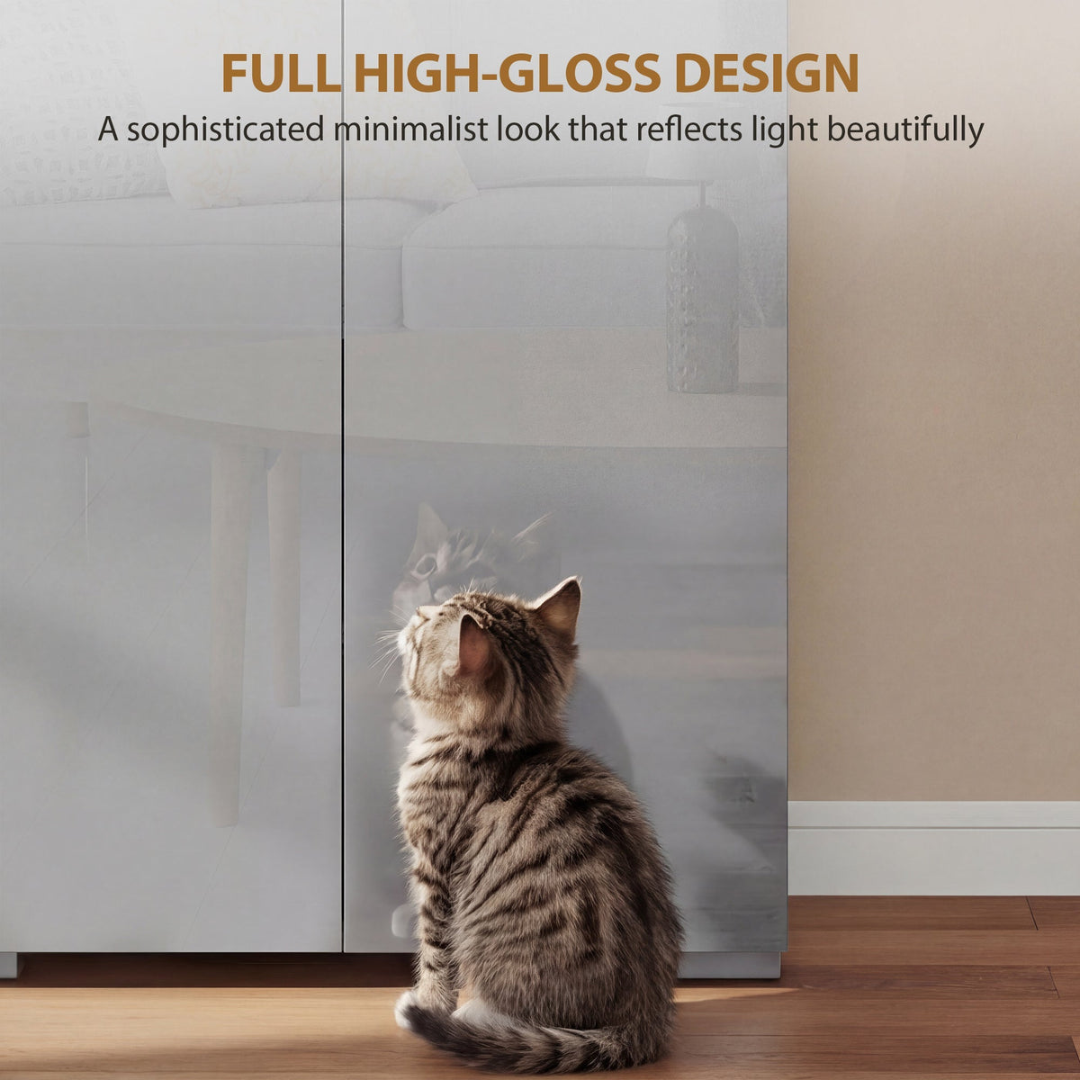 A kitten looks up at the reflection on the high gloss doors of the tall grey storage unit