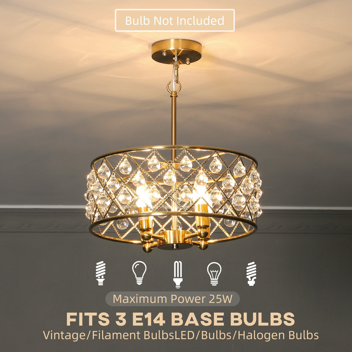The ceiling light illuminated with text explaining the compatible bulb types and power