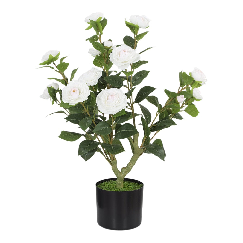 HOMCOM 65cm Artificial Camellia Flower Plant in Pot standing against a plain white background