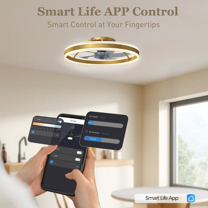 the ceiling light with fan controlled via a smartphone app interface