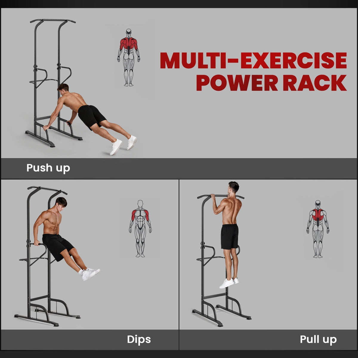 The power tower demonstrating push ups, dips and pull ups with highlighted muscle groups