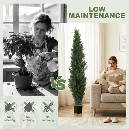 The artificial cypress tree is shown next to a woman reading, with text indicating low maintenance
