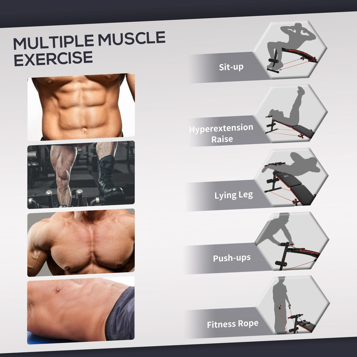 The sit up bench demonstrating various exercise routines for different muscle groups
