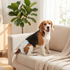 PawHut Disposable Dog Diapers Female for M Dogs Incontinence or Excitable Urination and Training 48 Count