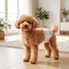 PawHut Dog Diapers Super Absorbent Leak-Proof Dog Nappies for Male Dogs Size XS 20-28 cm Waist