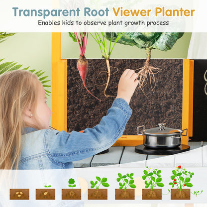 A child examines the roots of a plant in the transparent root viewer planter