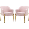 HOMCOM Accent Chair, Living Room Armchair, Vanity Chair with Gold Plating Metal Legs and Soft Padded Seat for Bedroom and Cafe, Set of 2, Pink