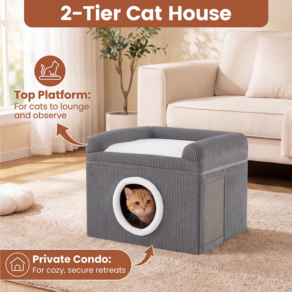 The cat furniture with text labels explaining the top platform and the private condo area
