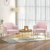 HOMCOM Accent Chair, Living Room Armchair, Vanity Chair with Gold Plating Metal Legs and Soft Padded Seat for Bedroom and Cafe, Set of 2, Pink