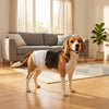 PawHut Dog Diapers Super Absorbent Leak-Proof Dog Nappies for Male Dogs Size M 45-64 cm Waist