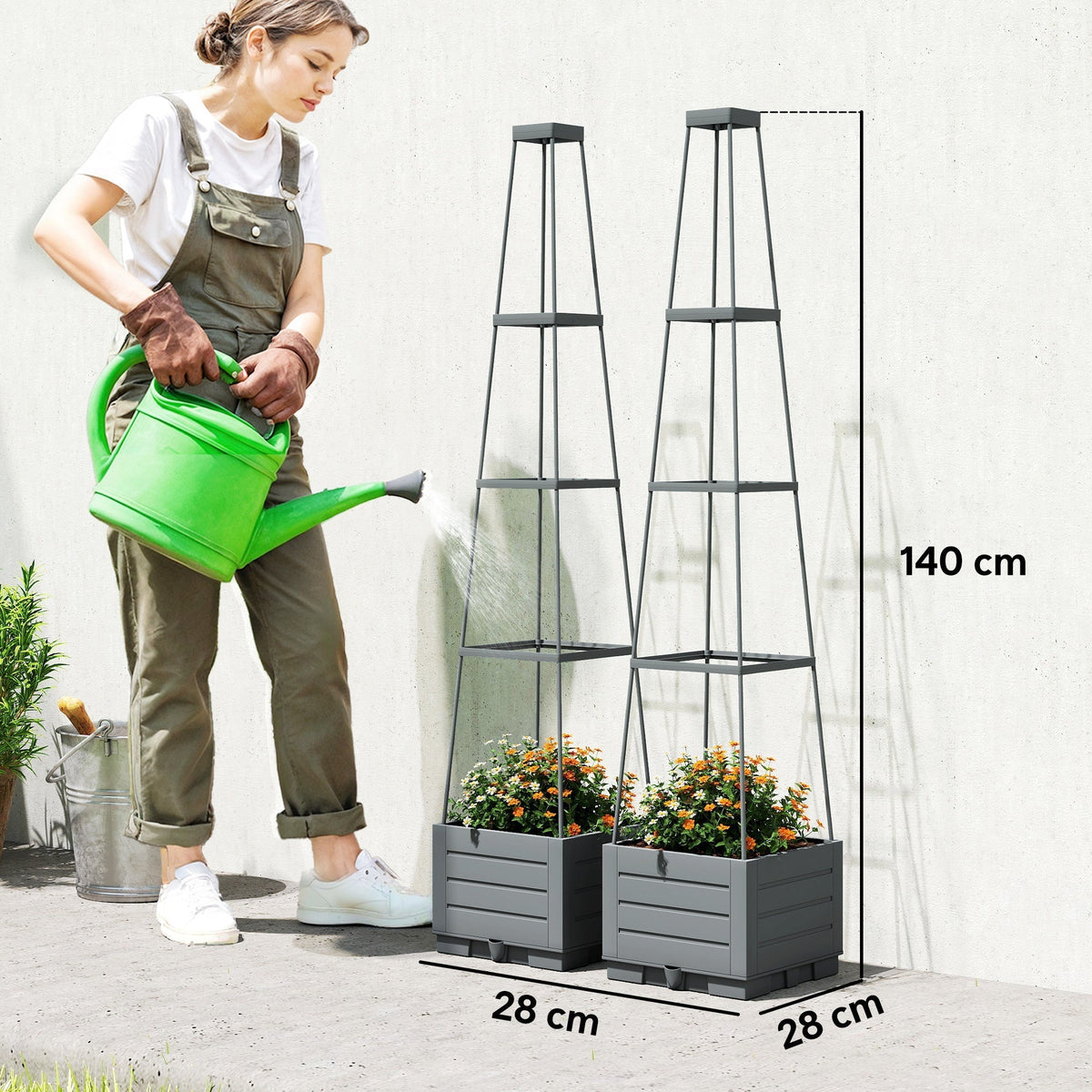 Woman watering two grey plastic planters with trellises, showing dimensions