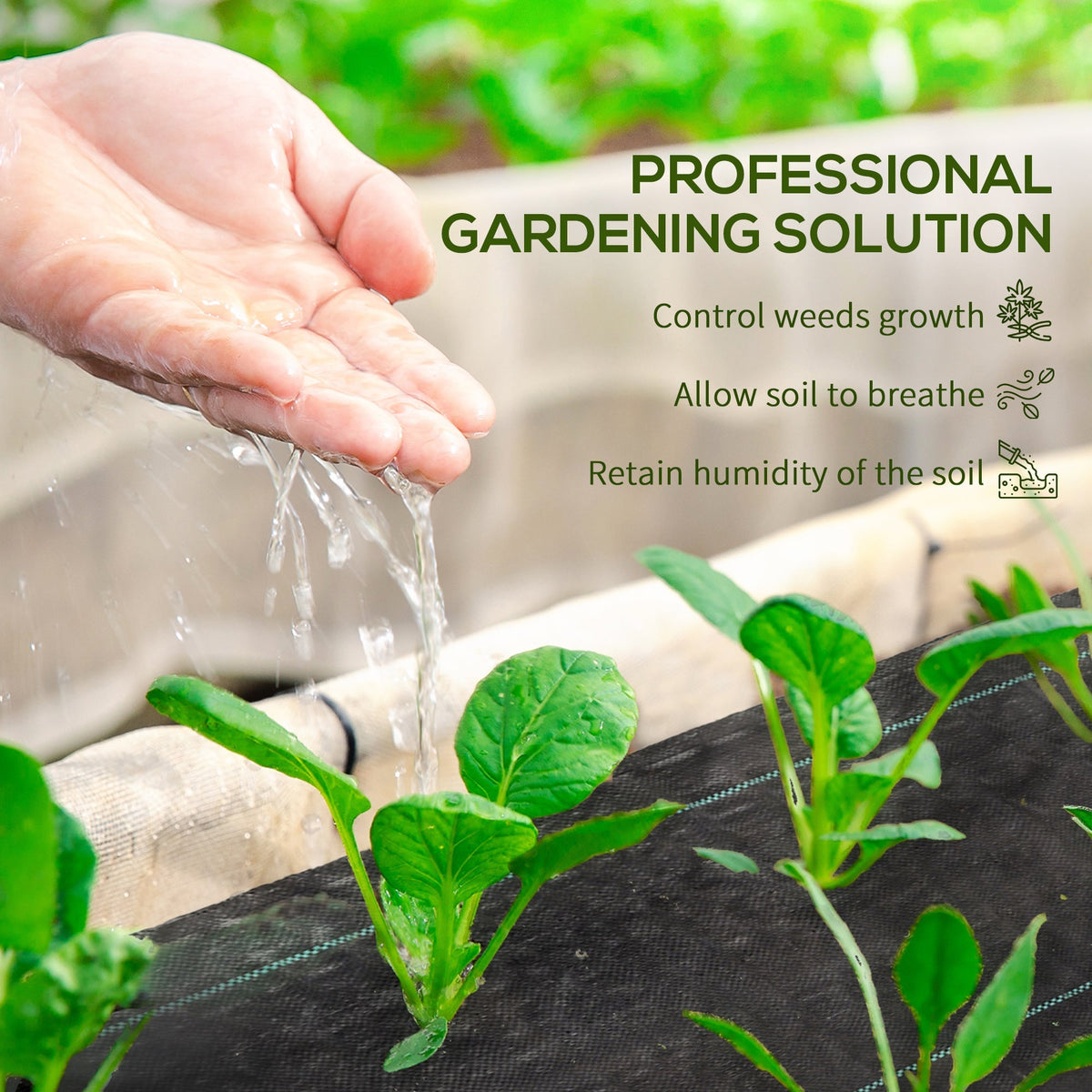 Water being poured onto plants growing through the weed control membrane