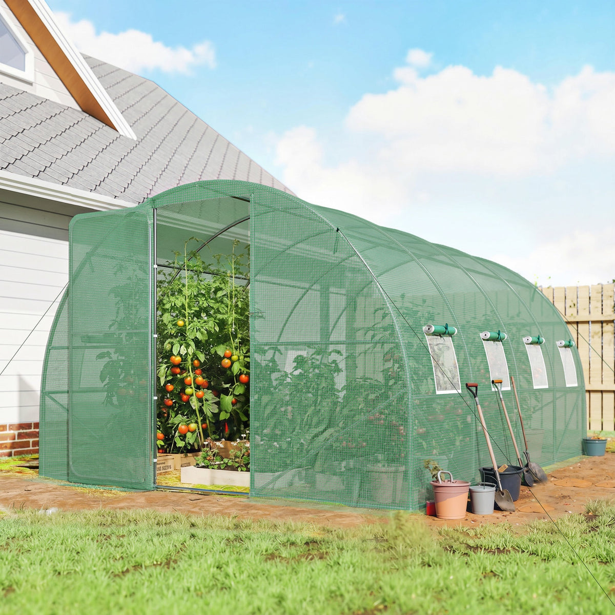 The walk-in polytunnel greenhouse set up in a garden with tomato plants inside