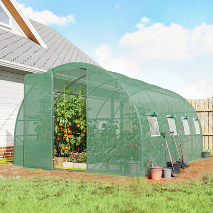 The walk-in polytunnel greenhouse set up in a garden with tomato plants inside