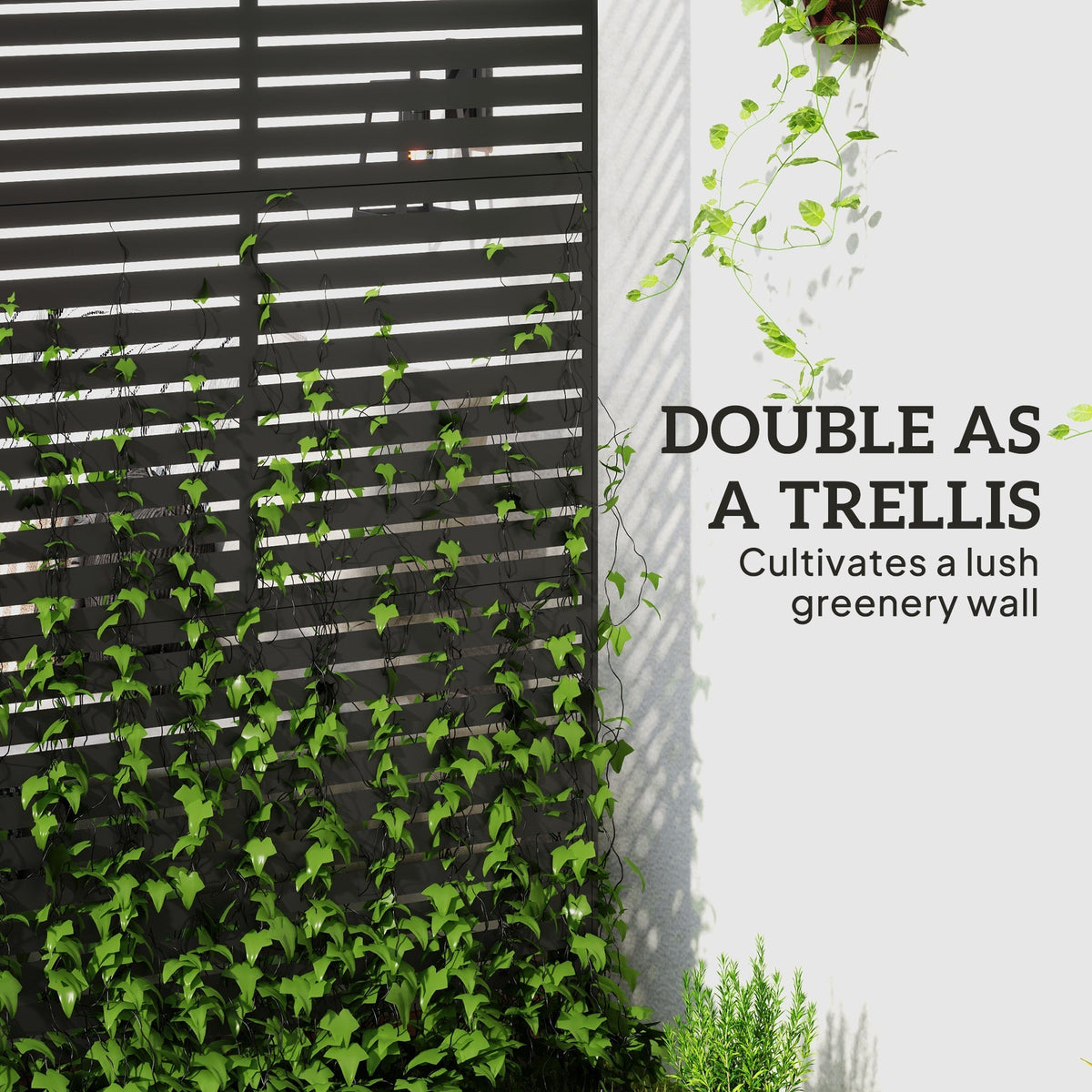 The metal fence covered in climbing green plants to create a lush vertical garden wall