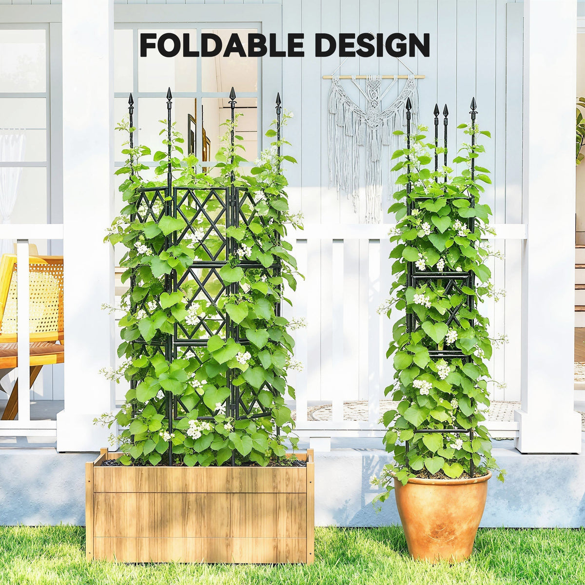 Two black metal lattice climbing supports are shown in use with climbing plants, one in a planter box