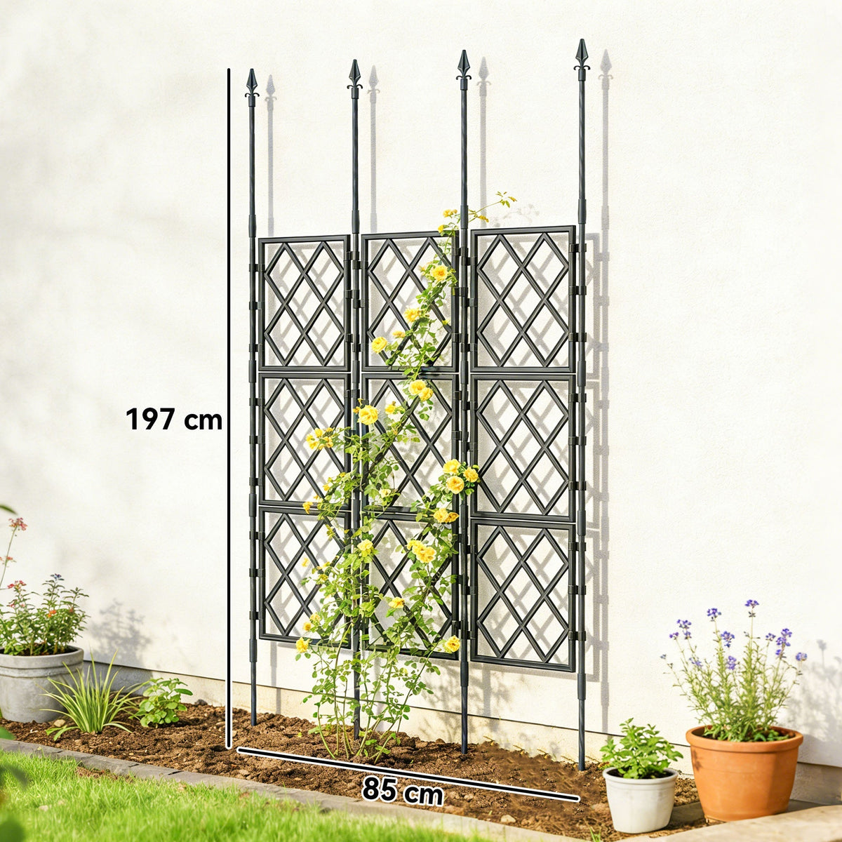 The black metal lattice climbing support is shown next to a wall with dimensions 197 cm and 85 cm indicated