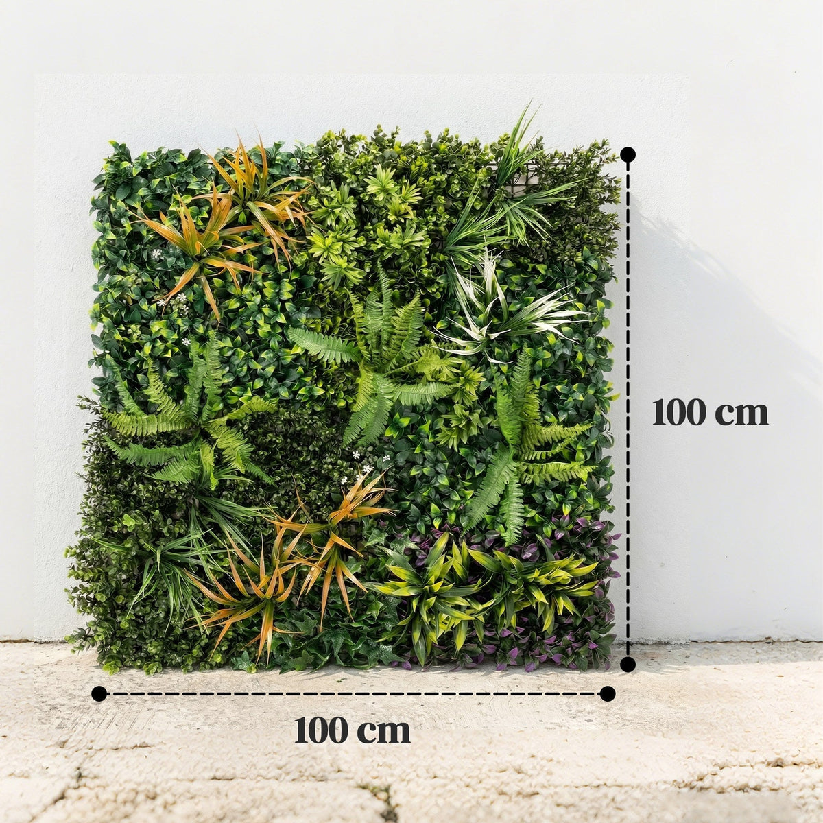 The artificial grass wall panels are shown with dimensions of 100 cm by 100 cm marked