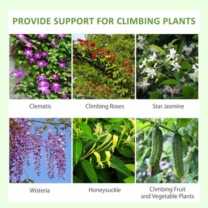 Examples of climbing plants that can be supported by the garden trellises