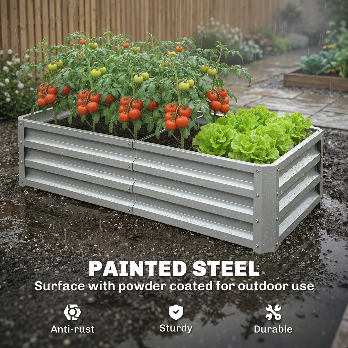 The garden planter filled with tomato plants and lettuce during a light rain shower