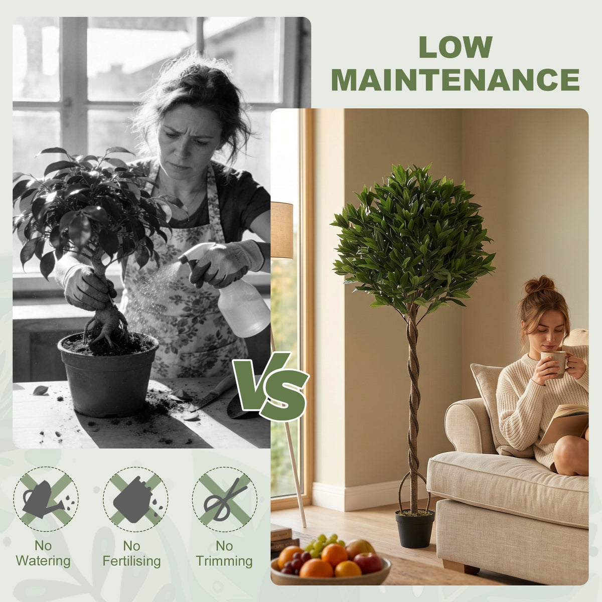Comparison of a real plant needing care versus the artificial bay laurel tree
