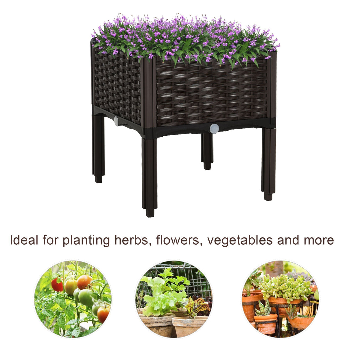 The elevated planter box with small circular insets showing tomatoes and green plants