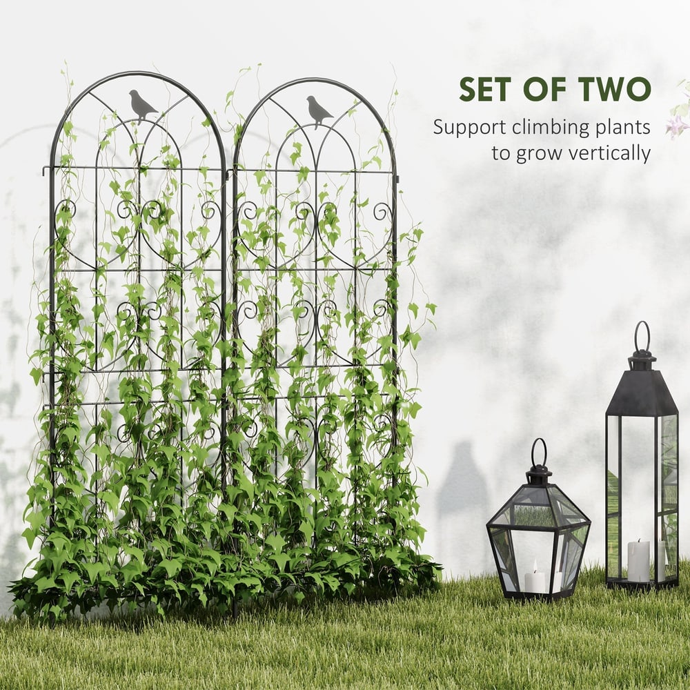 Two garden fence panels with climbing plants, next to two decorative lanterns