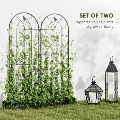 Two garden fence panels with climbing plants, next to two decorative lanterns