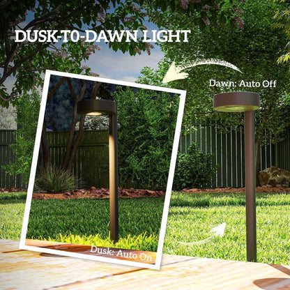 The garden lighting showing the automatic dusk to dawn sensor function in a garden setting