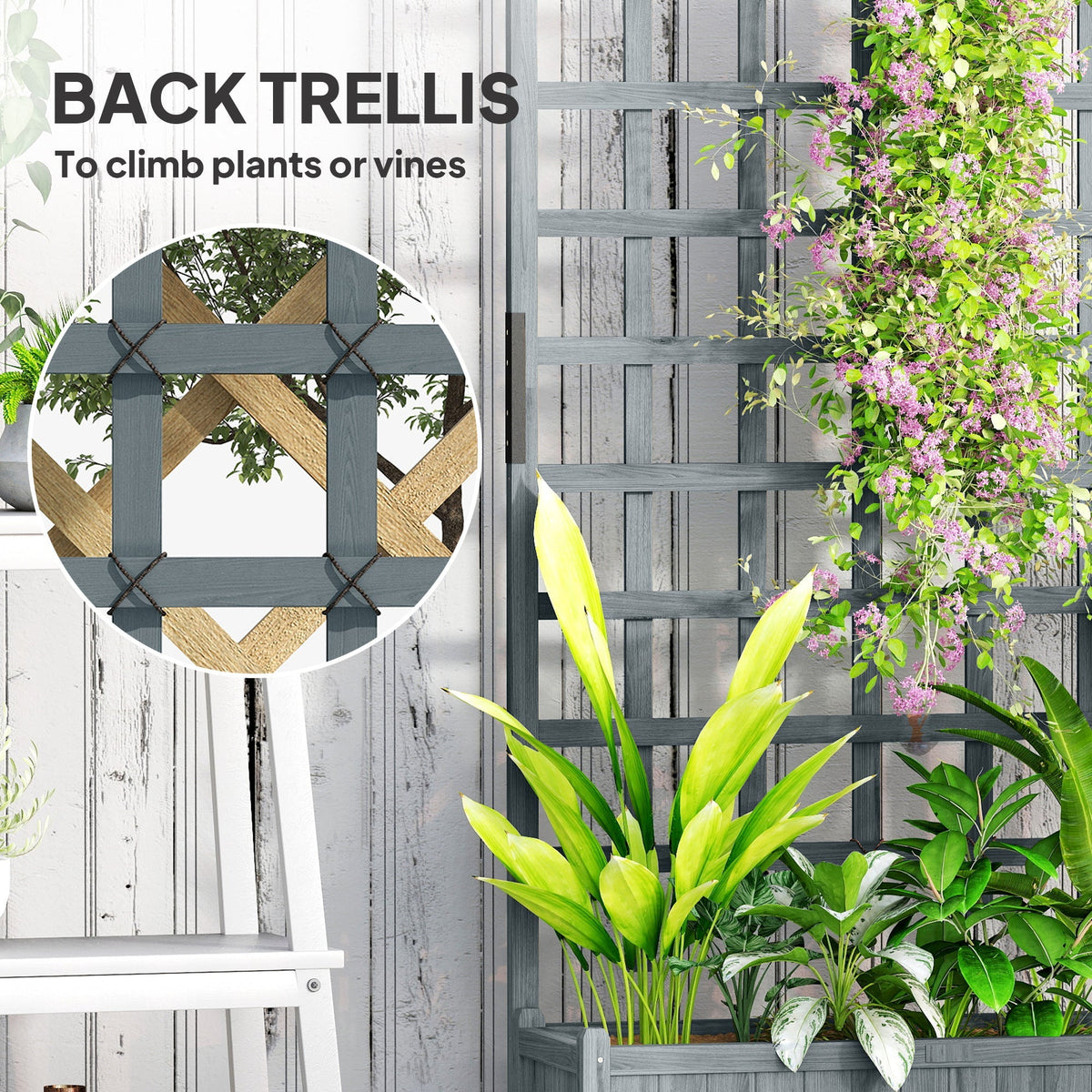 Close up of the wooden trellis planter showing the lattice detail and how to climb plants