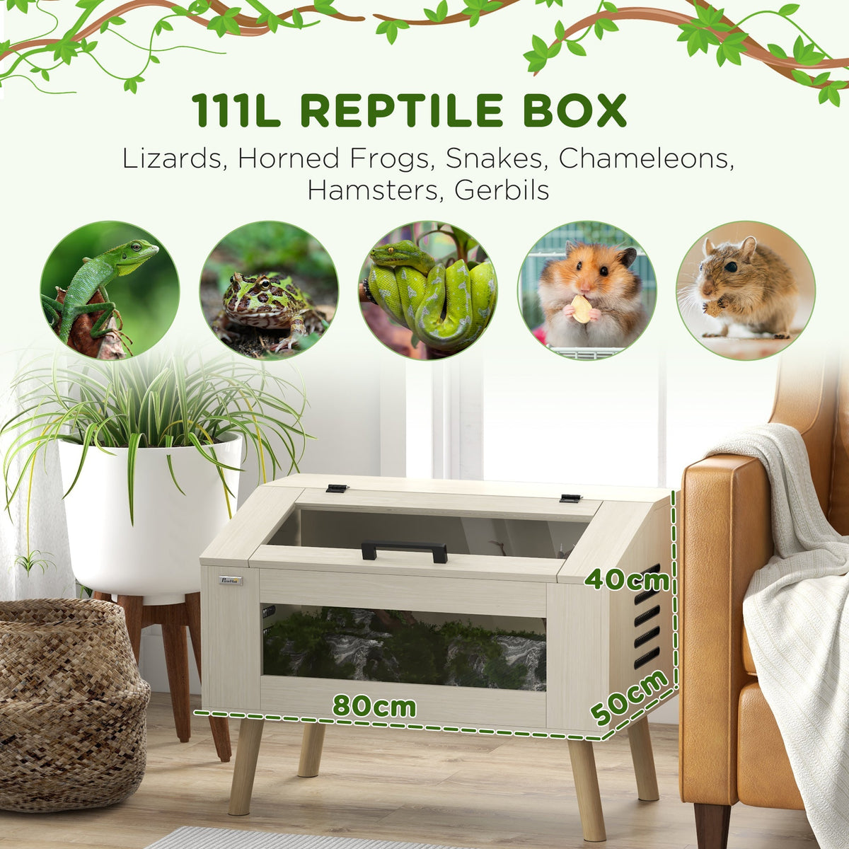 The reptile house is shown with examples of animals that can live in it, including a lizard and a hamster