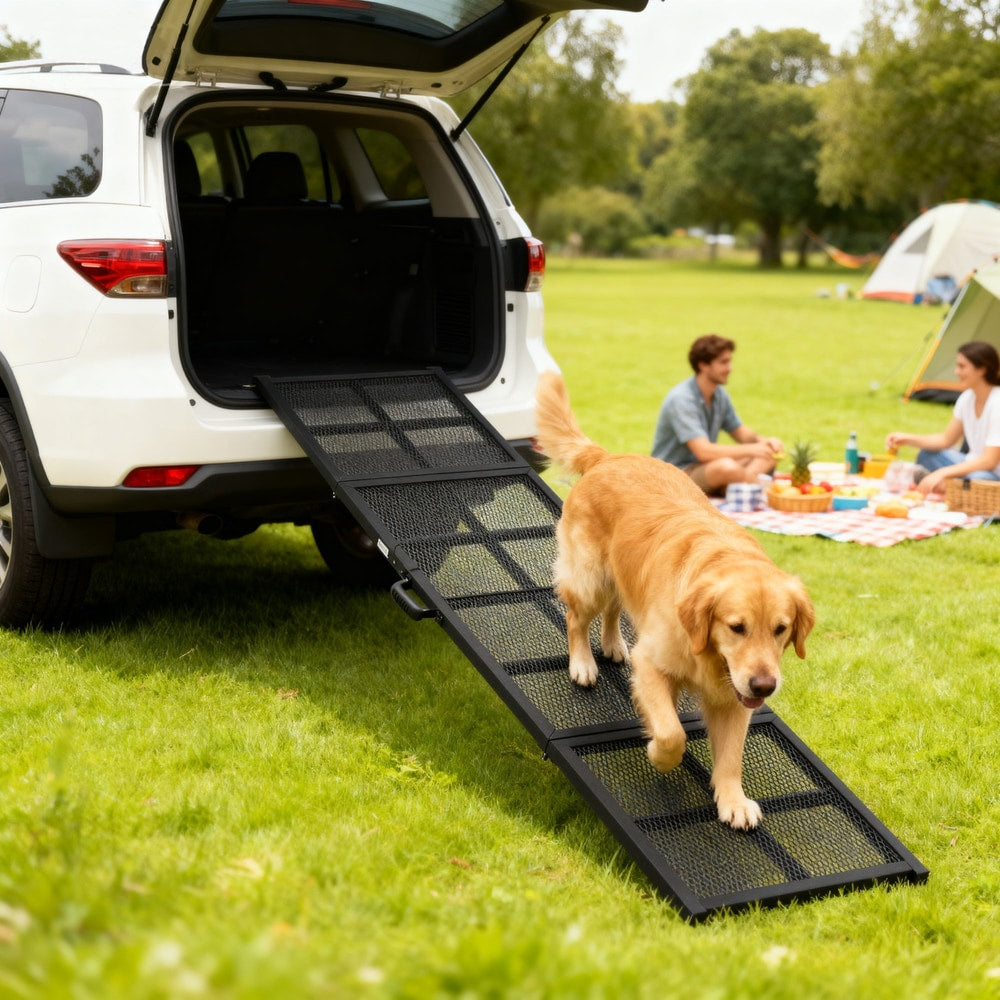 The dog ramp for car in use, with a golden retriever walking up it into a car boot
