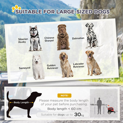 Illustration of different dog breeds and a diagram showing how to measure a dog's body length