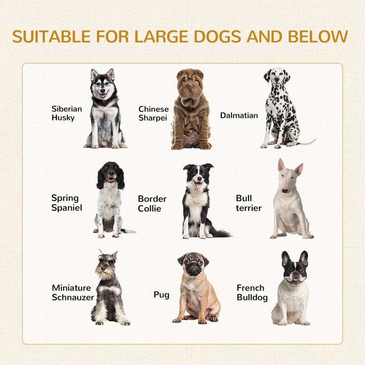 A chart showing various dog breeds that are suitable for the size of the dog crate