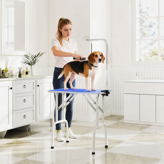 A woman grooming a beagle on the blue foldable dog grooming table in a bright room