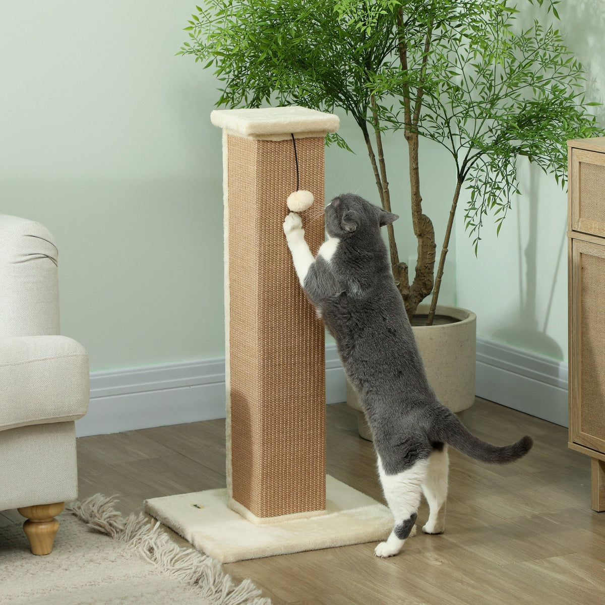 PawHut 81cm Cat Scratcher, the cat tree is shown in a living room setting with a cat playing on it next to a sofa and a plant