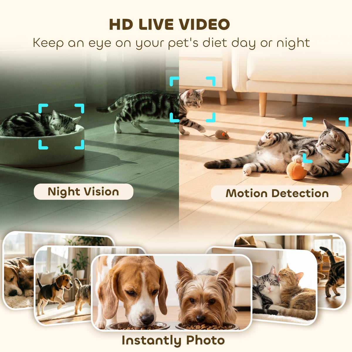 The automatic cat feeder offers HD live video, night vision, motion detection and instant photos