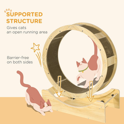Close-up of the supported structure of the cat exercise wheel, showing its open design