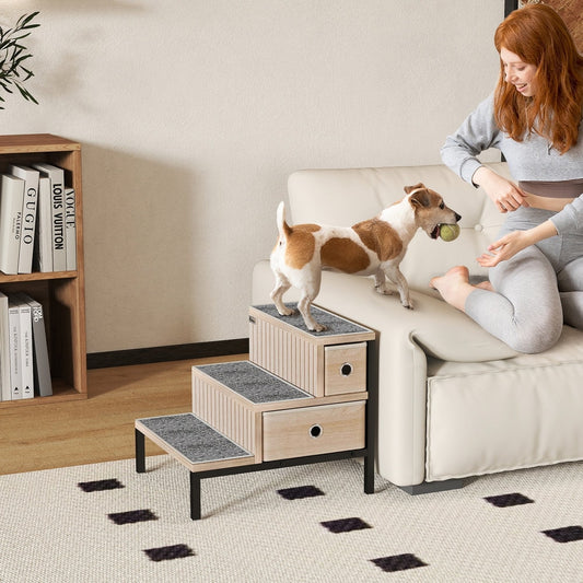 A small dog climbs the pet steps to reach a sofa where a woman is sitting