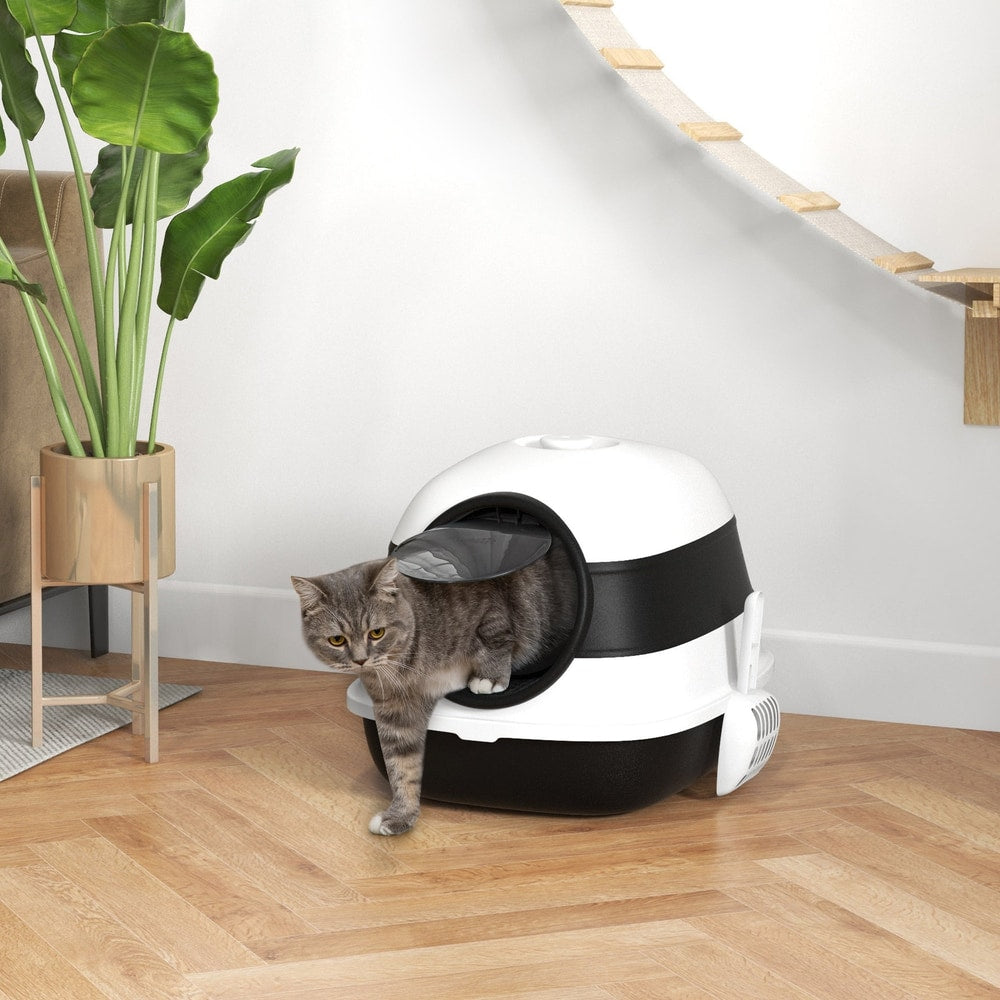 A grey cat exiting the black and white litter box in a room with wooden flooring