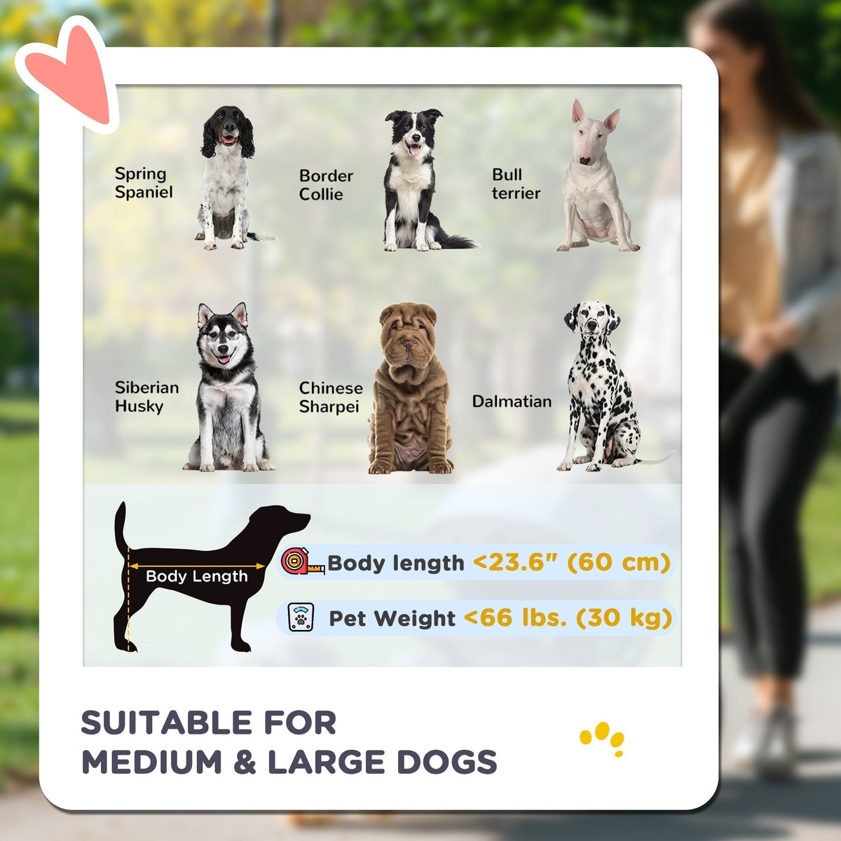 Silhouettes of medium and large dog breeds suitable for the pet stroller