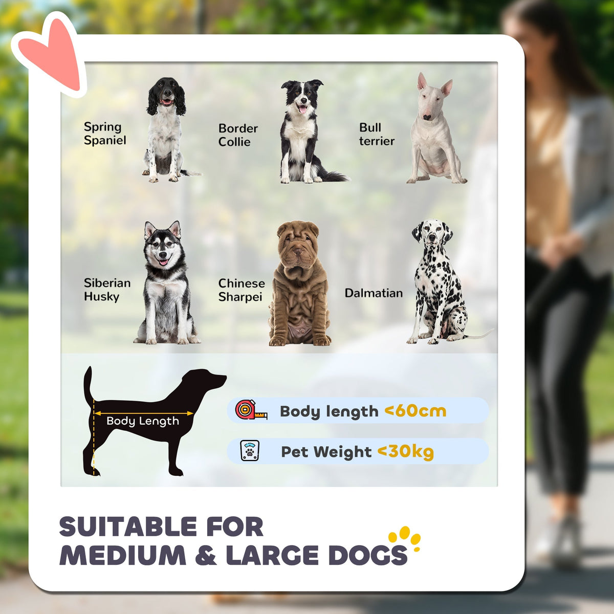 Diagram showing suitable dog breeds and maximum weight and length for the dog carrier