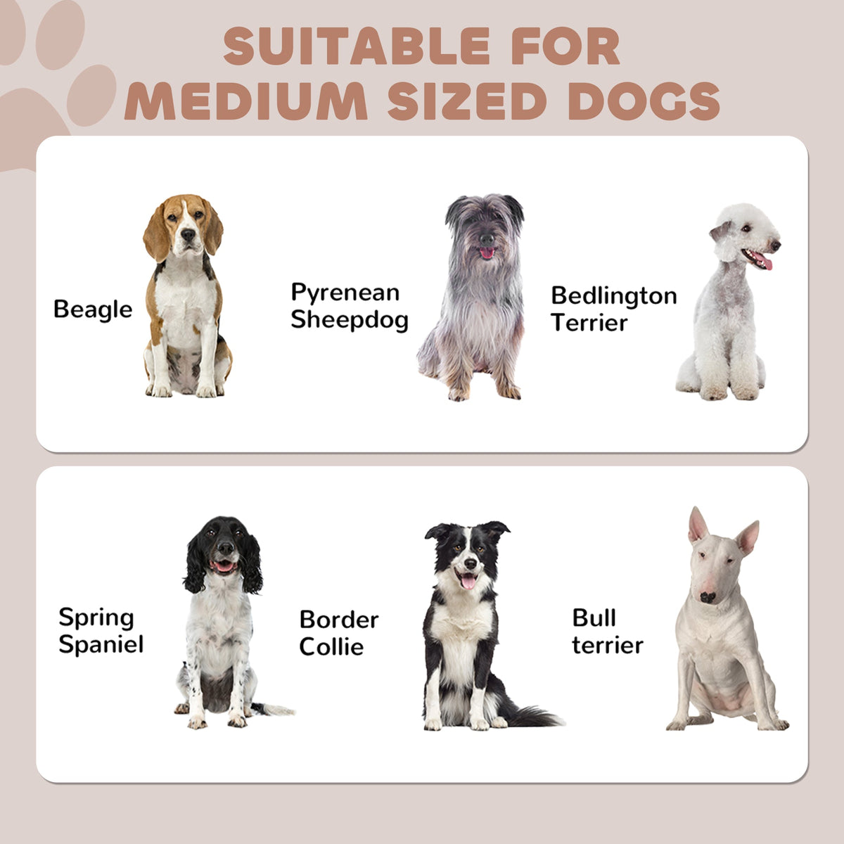 The pet feeding station suitability guide showing six different breeds of medium sized dogs