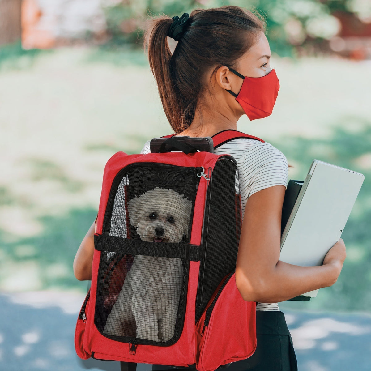 A woman wearing a face mask carries a small white dog in the red pet carrier backpack